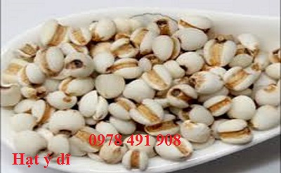 Cháo từ hạt ý dĩ bổ dưỡng, trị bệnh