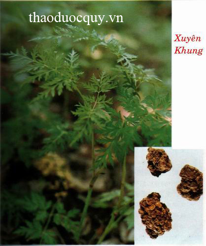 Xuyên Khung
