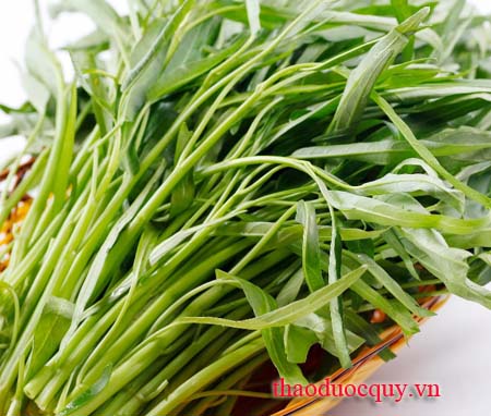 Rau Muống